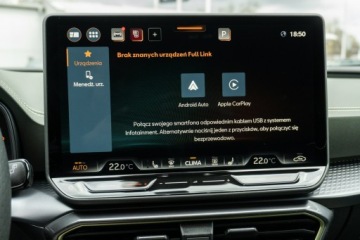 Cupra Formentor 2026 Cupra Formentor Tribe Edition 2.0 TSI 204 KM DSG, zdjęcie 34