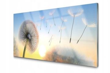 Panel szklany Płytka Dmuchawiec Kwiaty 120x60