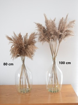 СУШЕНАЯ ТРАВА БОХО НАТУРАЛЬНЫЙ ПУШИСТЫЙ БУКЕТ 80СМ