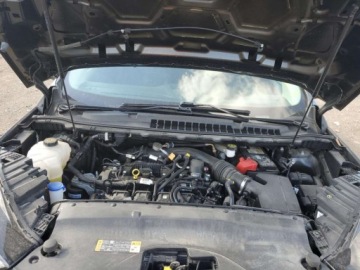 Ford Edge II 2020 Ford Edge Titanium 2020 2.0l 2.0 Benzyna 250KM, zdjęcie 6