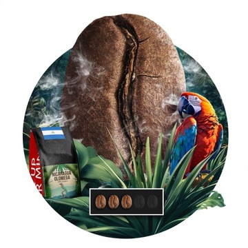 КОФЕ В ЗЕРНАХ 1 КГ OLOMEGA NICARAGUA ARABICA 100% СВЕЖЕОБЖАРЕННЫЕ - BLUE ORCA