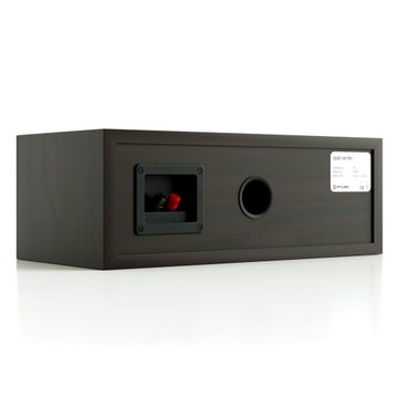 ЦЕНТРАЛЬНАЯ КОЛОННА ПИЛОН АУДИО ОПАЛ + МАСКА