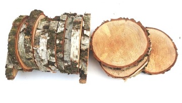 PLASTER DREWNA KRĄŻEK PIEŃIEK BRZOZA 18-22CM,1SZT