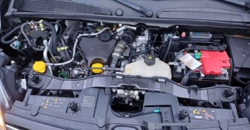 Renault Kangoo II Mikrovan Facelifting 2013 1.5 Blue dCi 115KM 2020 Renault Kangoo Renault Kangoo BLUE dCi 115 LIMITED 1.5 Diesel 115KM, zdjęcie 17