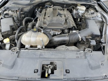 Ford Mustang VI 2019 Ford Mustang 2019 FORD MUSTANG 2.3 Benzyna 310KM, zdjęcie 11