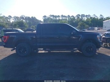 Ford 2023 Ford F150 XLT 2023 5.0l 5.0 Benzyna 400KM, zdjęcie 6