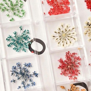 Высушенные цветы на ногтях украшения гибридные искусственные цветы кассета