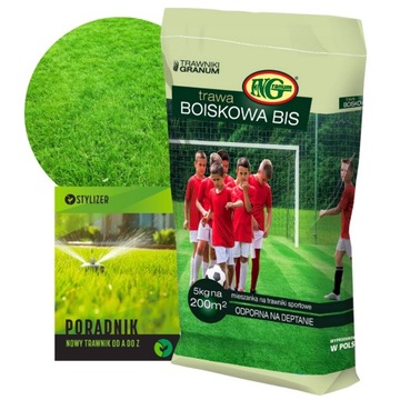 GRASS SEEDS Спортивные, Морозостойкие, Для газона 5кг Травяная смесь