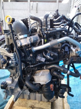 SILNIK 2.0 TDI CXF T6 SILNIK 17r 76 tśkm WYMIANA GWARANCJA