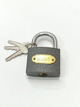 Kłódki kłódka żeliwna Lock-s pałąk - S 50 mm