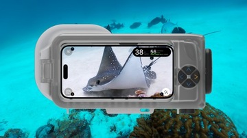 Oceanic+ Жилье для дайвинга