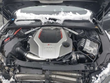 Audi A5 F5 2023 Audi RS5 Coupe 2.9l 2023 2.9 Benzyna 444KM, zdjęcie 6