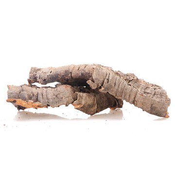 JEDYNA ODPORNA KORA NA WILGOĆ LAS W SŁOIKU SZKLE