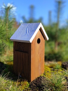 СКВОРОТКА - ЦВЕТНАЯ КРЫША, высота 30 см