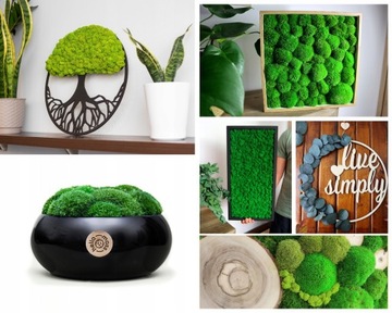 Картина продолговатой формы, рамка, подушка из мха, дерево, 25/60см.