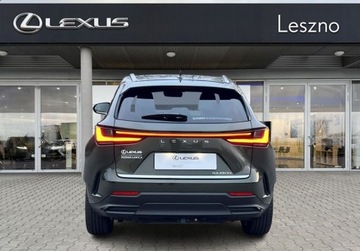 Lexus NX II SUV Facelifting 2.5 450h+ 309KM 2025 Lexus NX 450h Prestige AWD Design Tazuna Salon PL VAT 23 Bezwypadkowy, zdjęcie 6