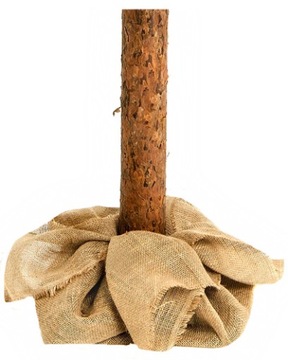 ИСКУССТВЕННАЯ РОЖДЕСТВЕНСКАЯ ЕЛЬ НА СТРУБЕ АЛМАЗНОЙ ЕЛИ 220 СМ