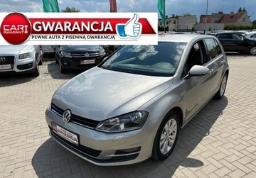 Volkswagen Golf VII Hatchback 3d 1.6 TDI-CR DPF 105KM 2015 Volkswagen Golf 1.6 TDI 105KM Automat DSG Gwar...