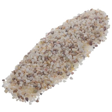 МИНИ РАСТЕНИЯ БЕЛЫЕ КАМНИ