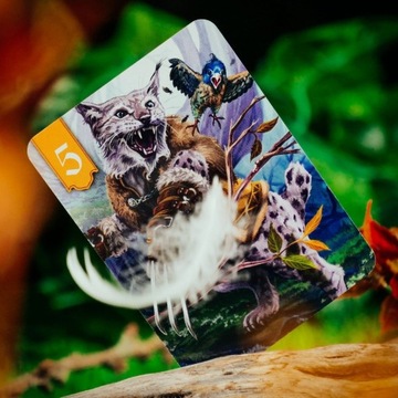 Спор из-за леса МУДУКО