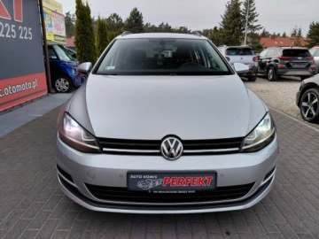 Volkswagen Golf VII Variant 1.6 TDI CR DPF BlueMotion Technology 105KM 2014 Volkswagen Golf Salon Polska Bezwypadek Klimatyzacja 2x PDC Alu 1.6 Diesel, zdjęcie 1