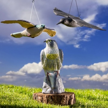 ОТПУСКАТЕЛЬ ПТИЦ, ГОЛУБИ, СКВОРЕЦ, ЛЕТАЮЩИЙ КЕСТЕЛЬ