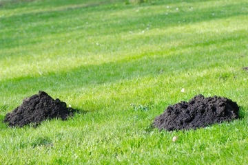 Газонная сетка от кротов КРОТ ПРОТИВ КРОТОВ ПОД ГАЗОНОМ 2х20 ПРОЧНАЯ СЕТКА