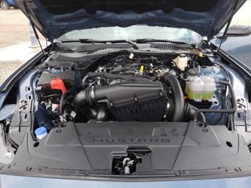 Ford Mustang VI 2024 Ford Mustang 2024r., 2.3L 2.3 Benzyna 315KM, zdjęcie 10