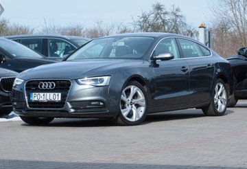 Audi A8 D4 2016 Audi A5 TDi190 Quattro Krajowa Skóra Hak Kamera Sam Parkuje LKA Fotel Sport, zdjęcie 28