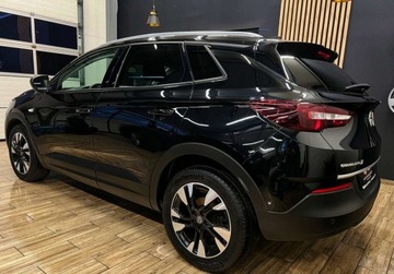 Opel 2019 Opel Grandland X 130 KM manual BEZWYPADKOWY gwarancja ZAREJESTROWANY, zdjęcie 10