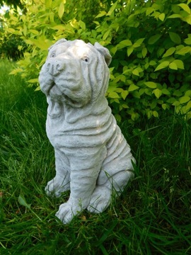Shar Pei Pies Figurka Betonowa figura Prezent