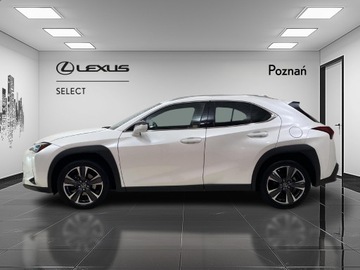 Lexus UX Crossover Facelifting 2.0 250h 184KM 2023 Lexus UX 250h GPF Business 2WD Lexus UX 250h GPF B, zdjęcie 1