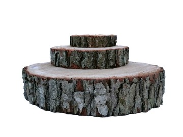 Срез дуба для тротуара, садовой дорожки, диаметр 25 см.