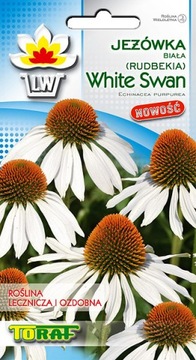 JEŻÓWKA RUDBEKIA WHITE SWAN Biała Toraf 0,3g