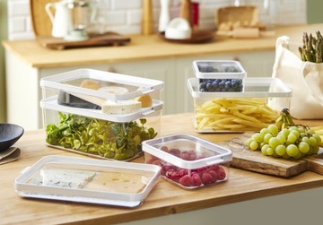 Rotho Food Coldge Container для пищевых фруктов пластиковые овощи 2 л Cauma