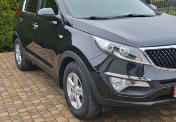 Kia Sportage III SUV Facelifting 1.6 GDI 135KM 2015 Kia Sportage Kia Sportage 1.6 Benzyna 135KM, zdjęcie 32