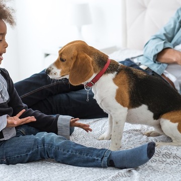 Большой набор для изготовления металлических никелевых брелков для ключей