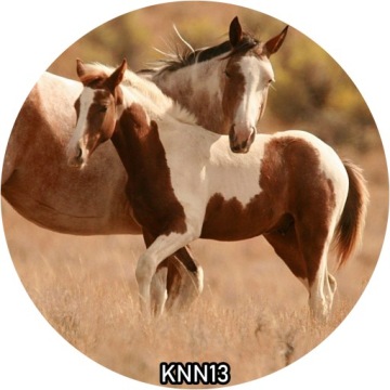 Украшение для торта вафельное HORSE круглое 20 см на день рождения