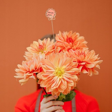 30 sztuk Kwiat opcji klip Stół znak stojak