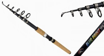 WĘDKA TELESKOPOWA BLUE PRINT SPIN 270 60-120g 2,7m