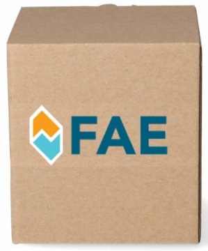 ЛЯМБДА-ЗОНД RENAULT 77153/FAE FAE ELECTRIKS