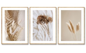 ZESTAW 3 SZT A4 PLAKAT BOHO TRAWA HORTENSJA BEŻ