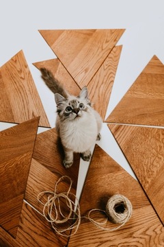 Деревянные настенные панели треугольники мозаичный дуб мега