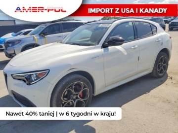 Alfa Romeo Stelvio SUV Facelifting 2.0 Turbo 280KM 2023 Alfa Romeo Stelvio 2023 ALFA ROMEO STELVIO TI 2.0 Benzyna 280KM