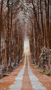 Zdjęcie matowe - fotograficzna jakość 20 x 30 cm