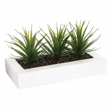 ALOES w białej doniczce DEKORACJA do łazienki