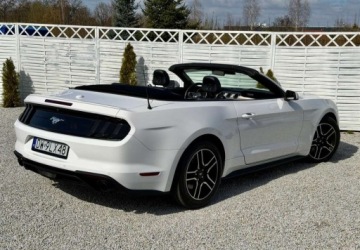Ford Mustang VI 2021 Ford Mustang Ford Mustang Cabrio 2.3 Eco Boost 2.3 Benzyna 317KM, zdjęcie 2