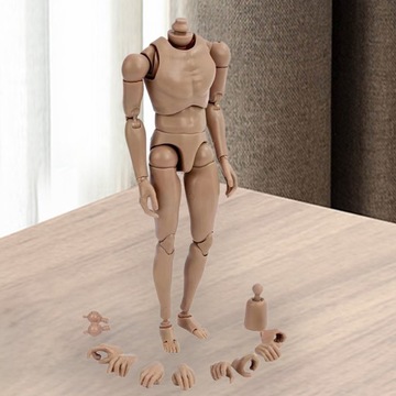 1/6 skala szerokość ramion lalka płci męskiej, figurka lalka zabawki dla