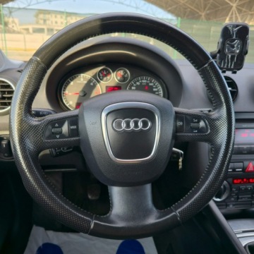 Audi A3 8P Hatchback 3d 2.0 TDI PD 170KM 2008 Audi A3 3-drzwiowe 2.0 Diesel 170KM, zdjęcie 28
