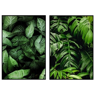 2 Plakaty botaniczne dyptyk zielone liście 21x30